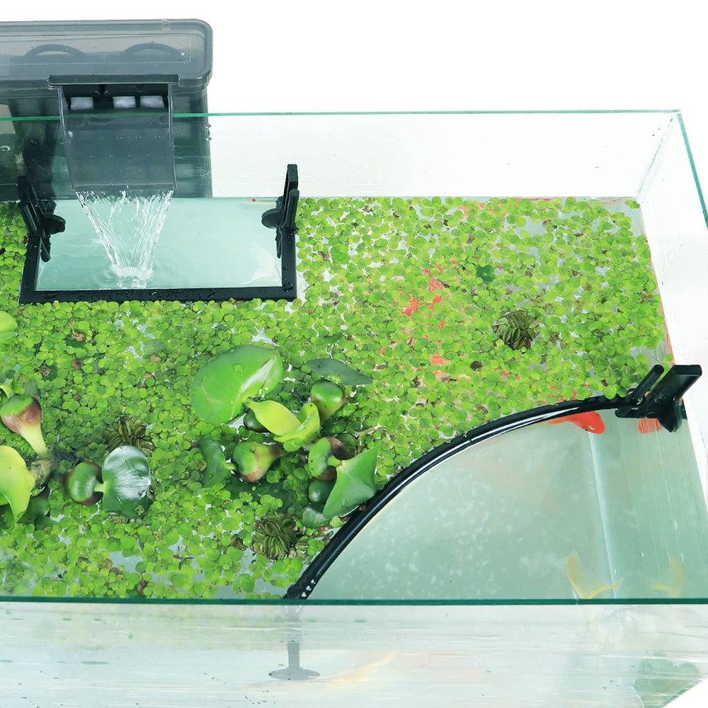 HOZOE Aquarium Floating Plant Corral setup shows adjustable height for surface protection