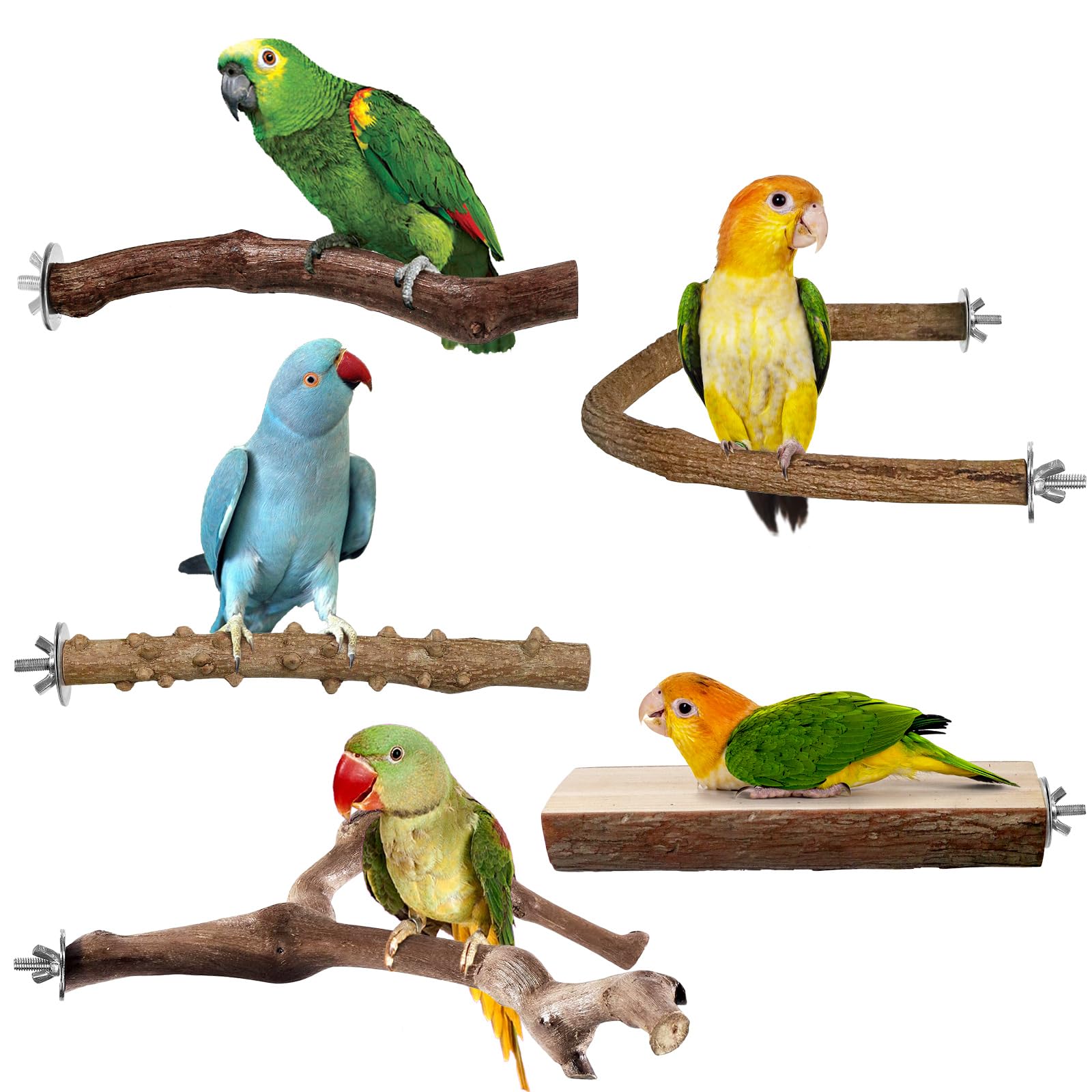 HPAWHOMEPART grapevines fork branch perch for climbing and beak exercise