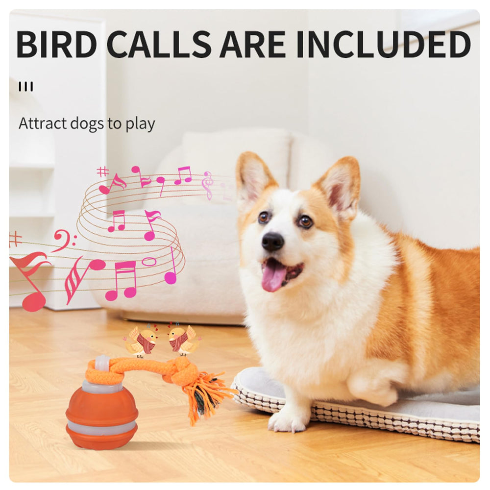 HPCDXBP blue fast-mode ball lights up during high-energy play sessions.