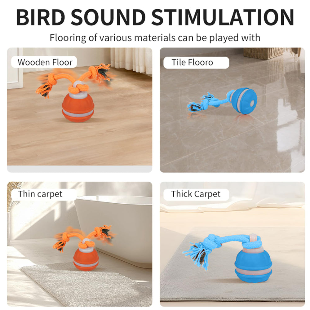 HPCDXBP purple slow-mode ball provides gentle motion for calmer sessions.