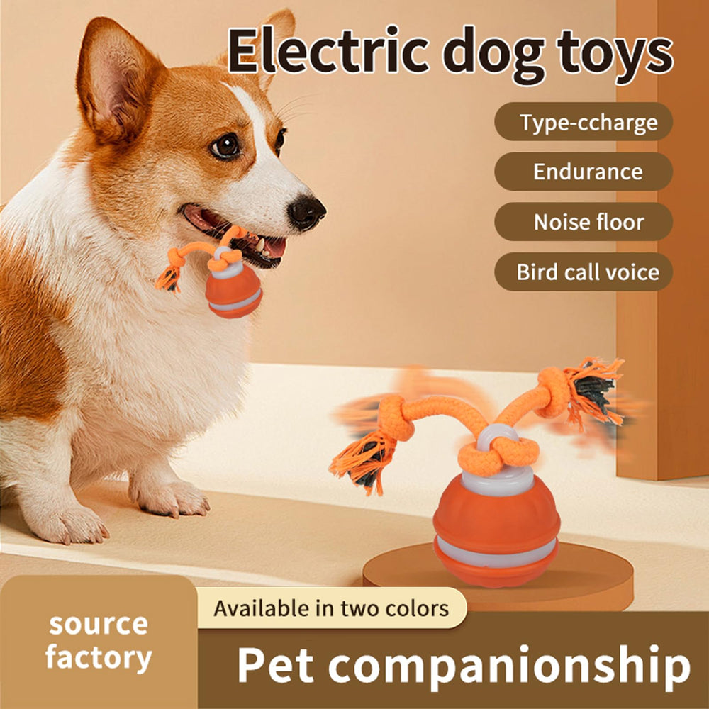 HPCDXBP squeaky ball with flashing light engages puppies during fetch and playtime.