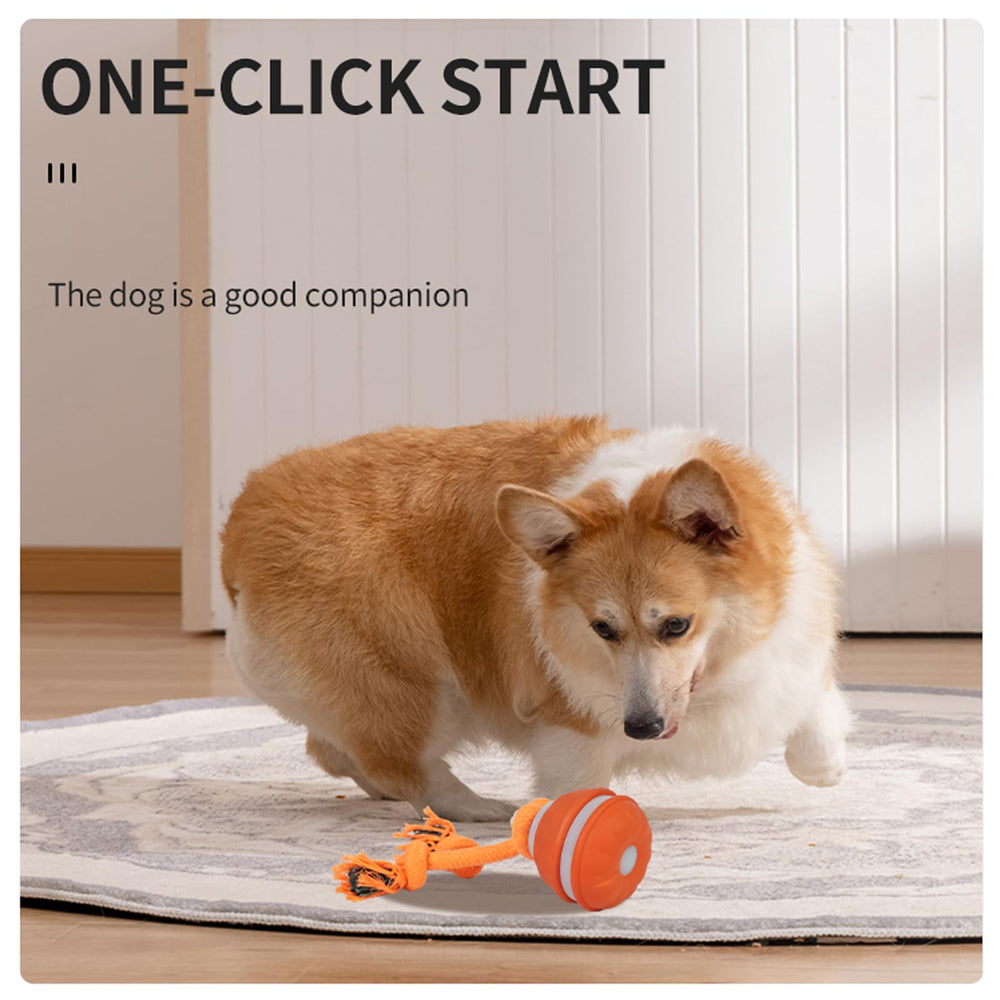 HPCDXBP USB-C rechargeable dog ball offers quick recharging for extended sessions.
