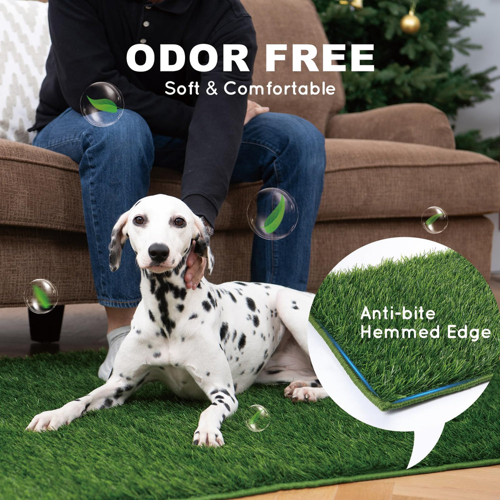 HQ4US 4LEGS chew-proof mats endure daily use
