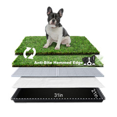 HQ4US 4LEGS dog grass pad tray for medium dogs supports quick drainage and easy cleaning