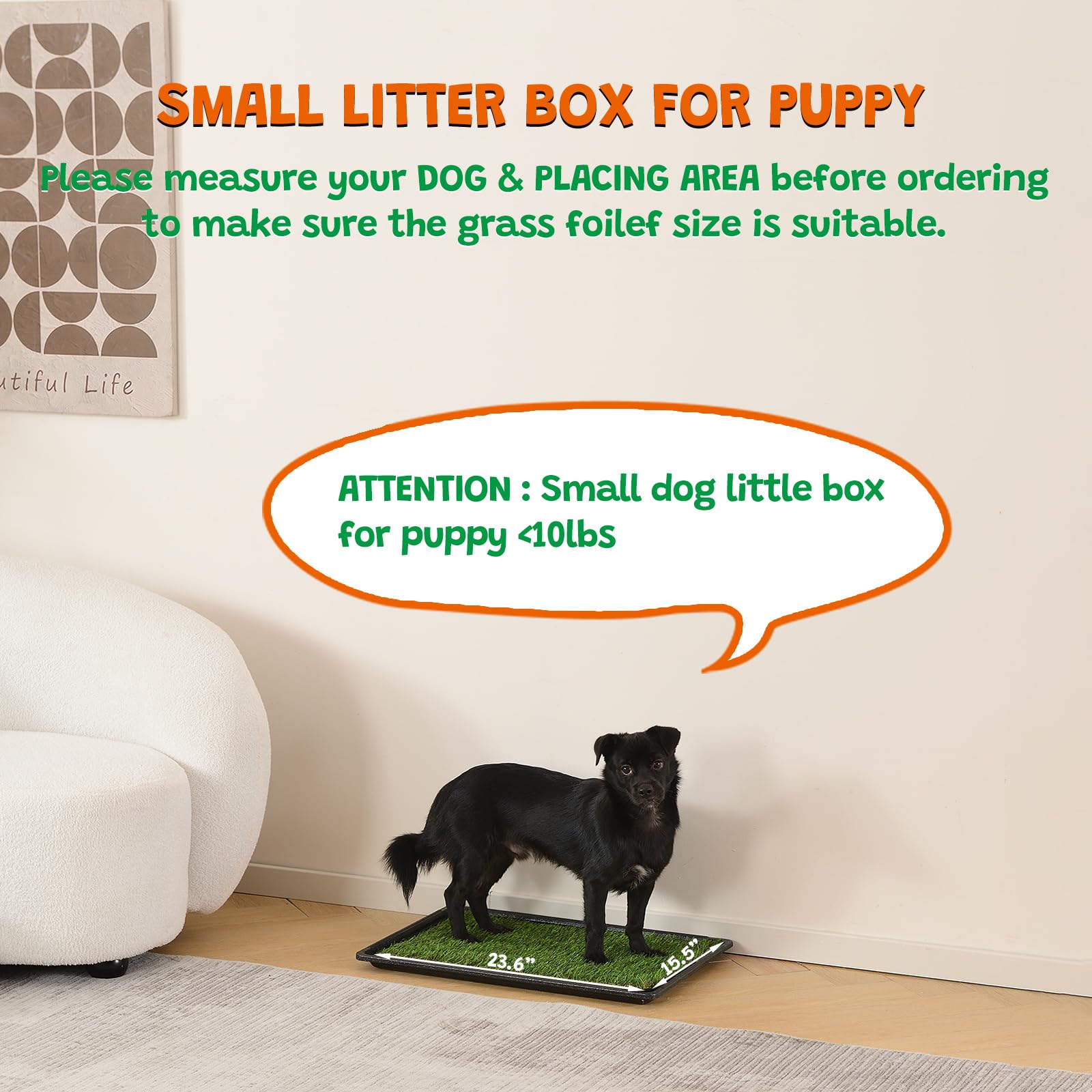 HQ4US 4LEGS two-mat grass pack enables daily replacement and freshness.