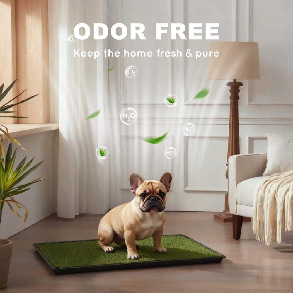 HQ4US 4LEGS ultra-absorbent grass pad helps control moisture.