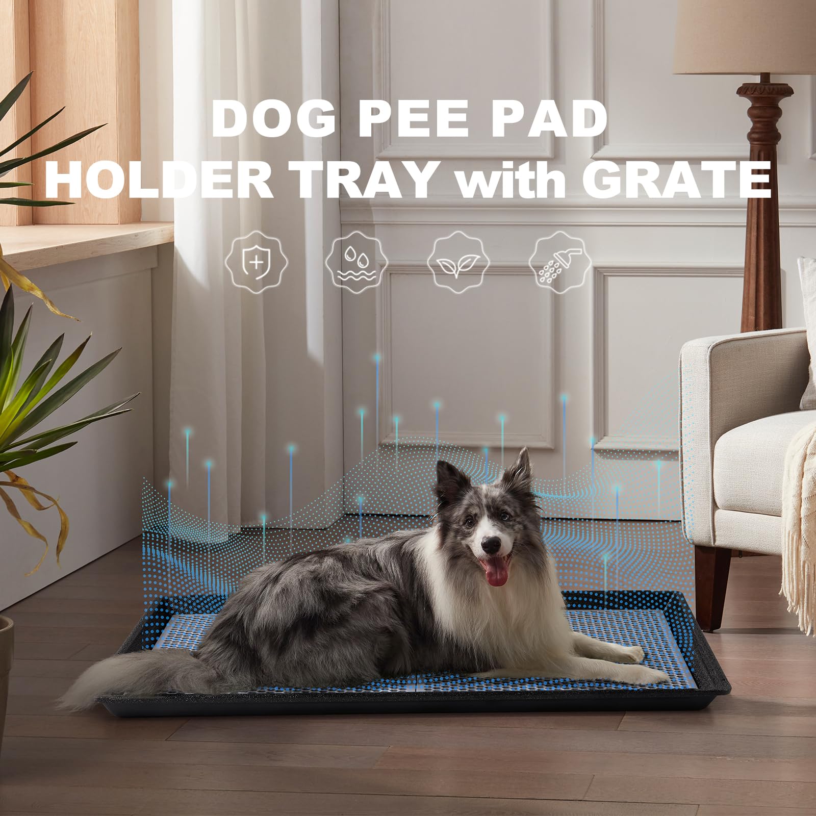 HQ4US large dog litter tray sized 30–60 lbs