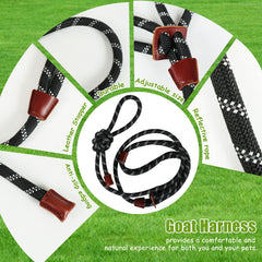 HRYOML reflective leash enhances visibility during night walks