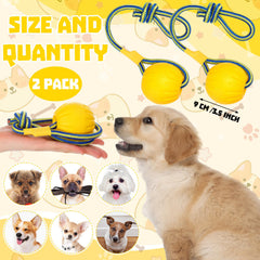 Hsei floating yellow dog ball with rope for water play and retrieval