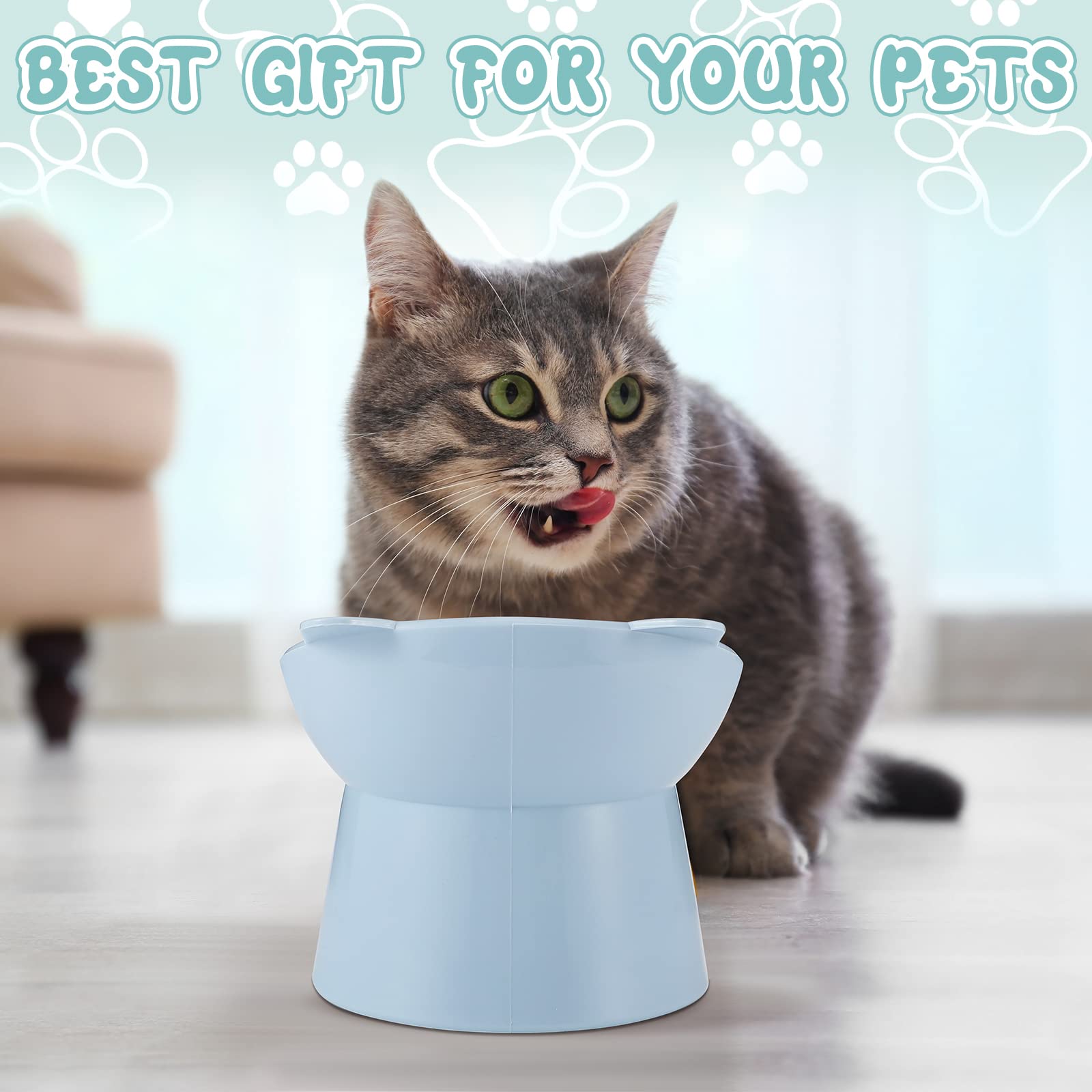 Hsei gift-ready cat bowls set, a practical present for cat lovers