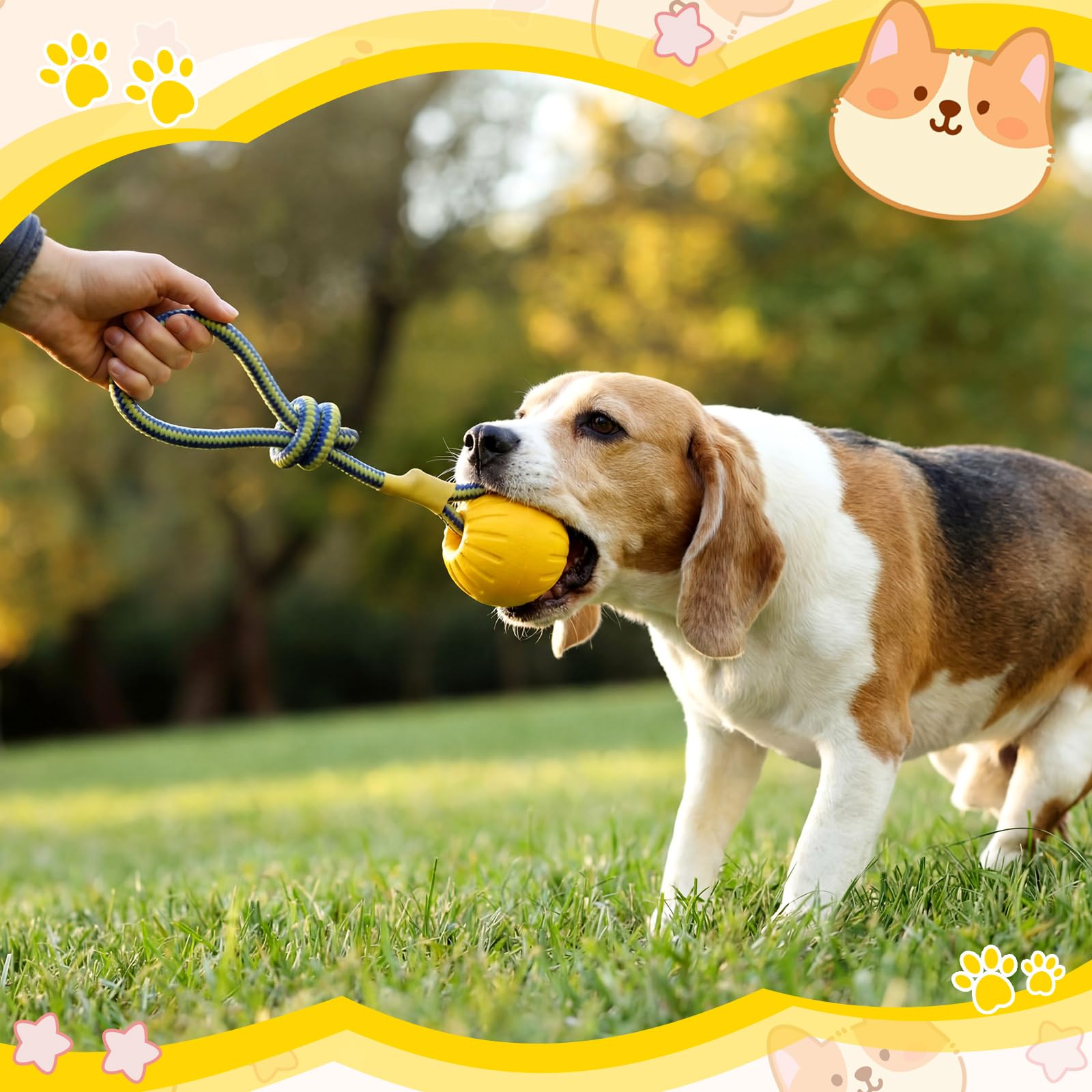 Hsei interactive ball supports tug, chase and fetch for bonding