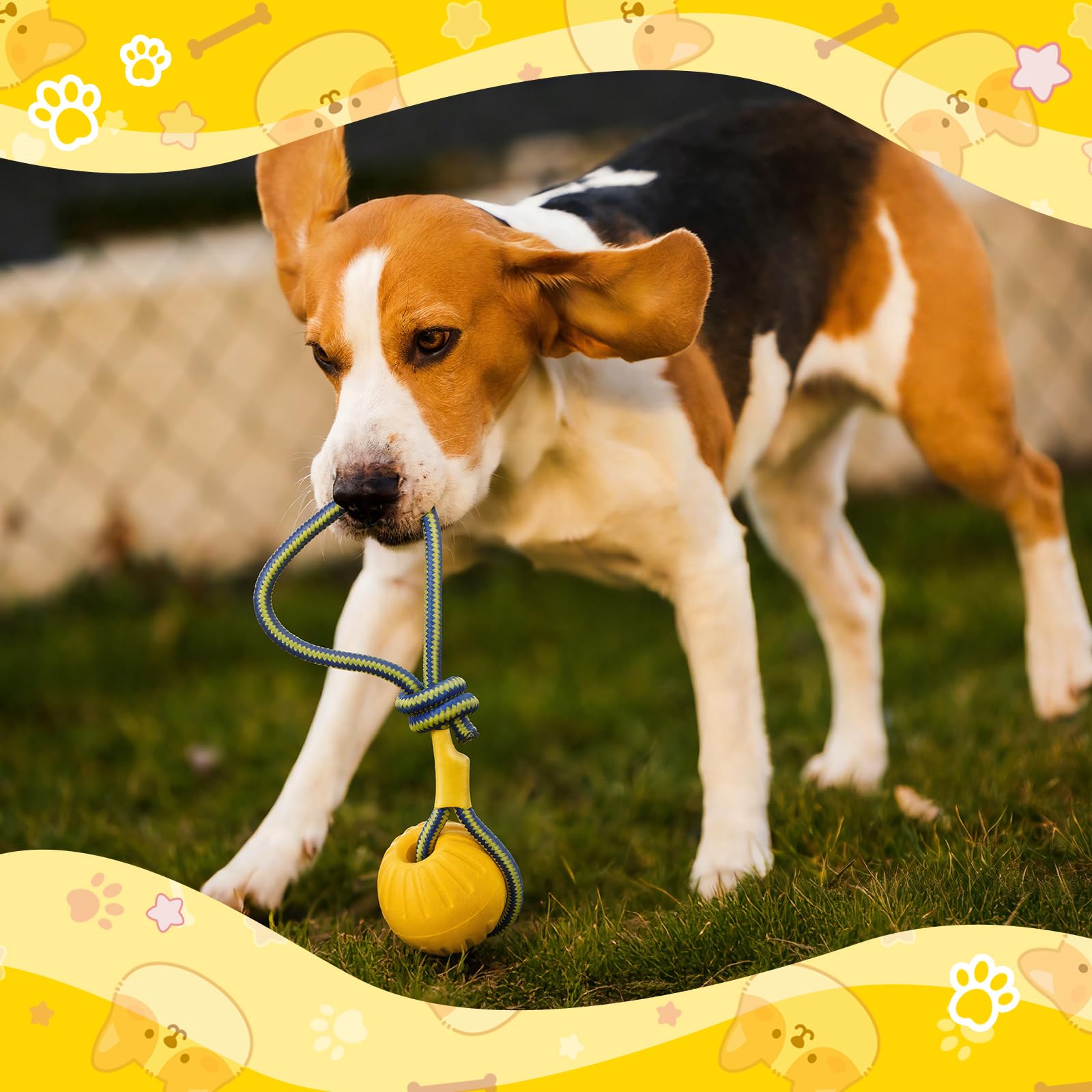 Hsei tug-and-retrieve ball with rope to boost interactive play.