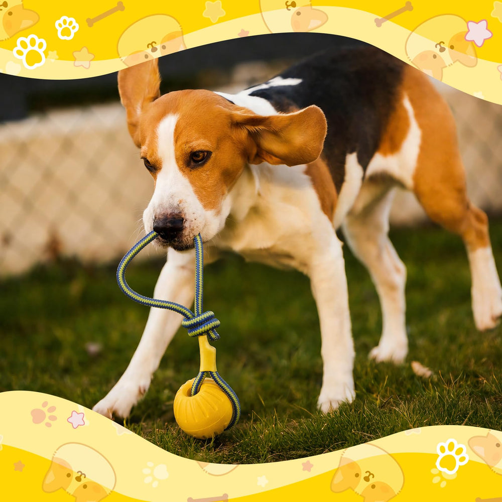 Hsei tug-and-retrieve ball with rope to boost interactive play.
