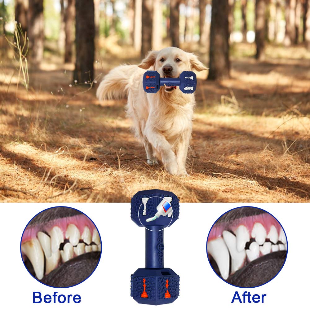 Hswaye dumbbell with pineapple flavor attracts dogs and boosts interest during chew time.