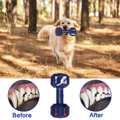 Hswaye dumbbell with pineapple flavor attracts dogs and boosts interest during chew time.