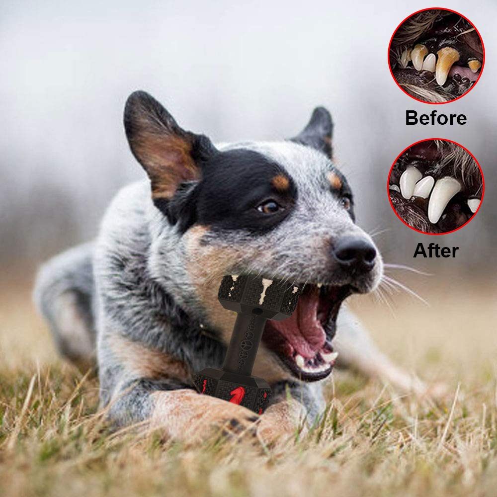 Hswaye interactive fetch toy supports exercise and boredom relief.