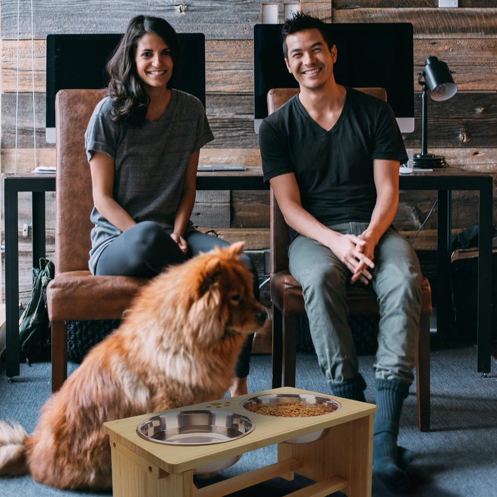 HTB raised feeder helps dogs eat with comfort.