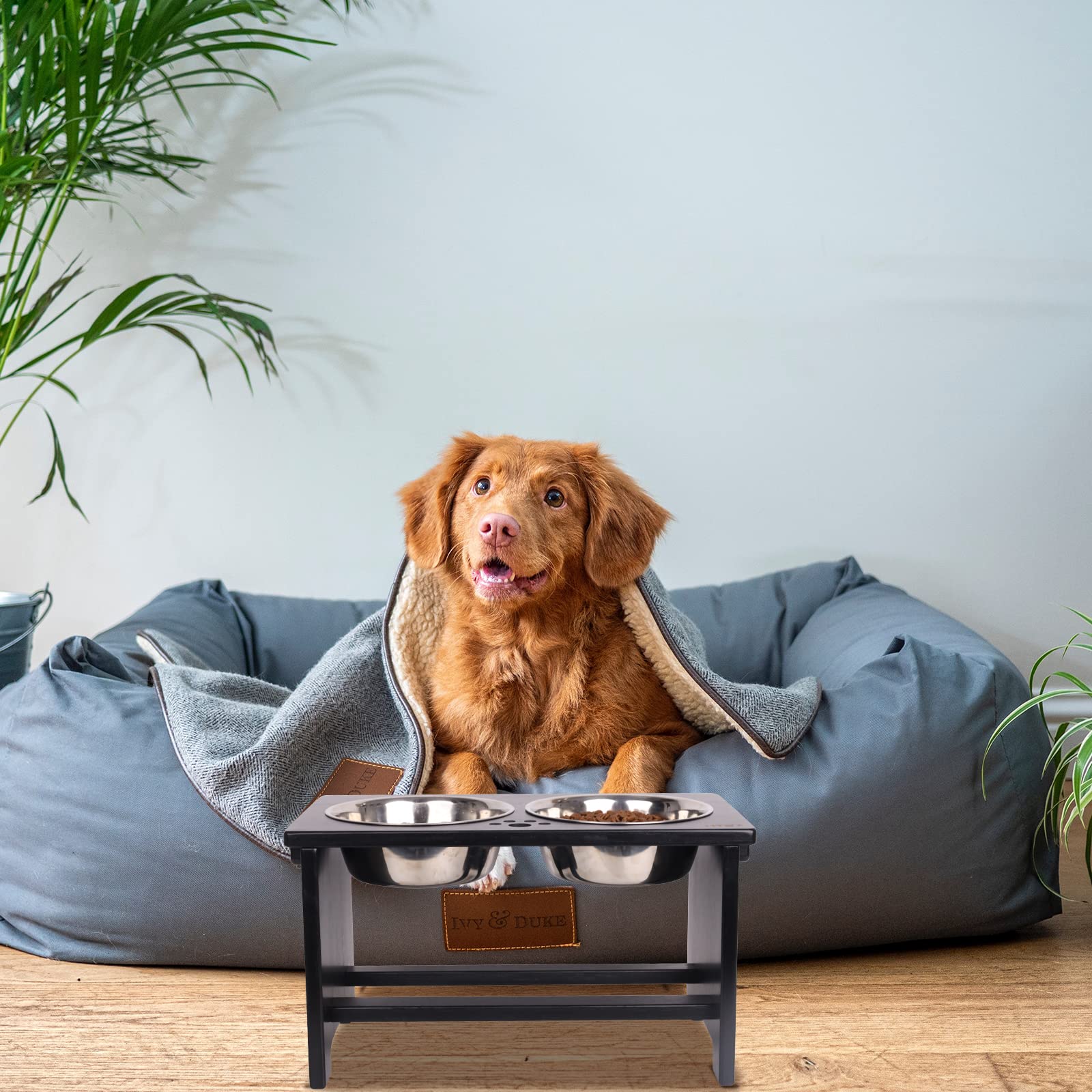 HTB elevated dog bowls dishwasher-safe bowls for simple cleaning.
