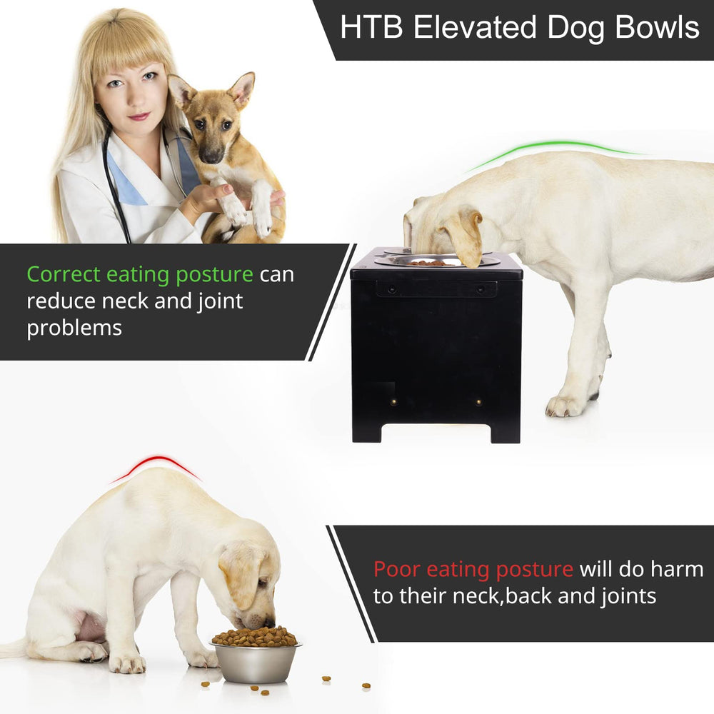 HTB elevated dog bowls three-color options pair with modern interiors.