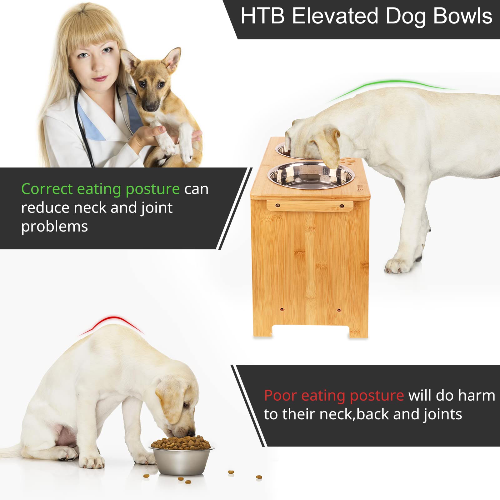 HTB three-color-options-dog-feeder complements home decor.