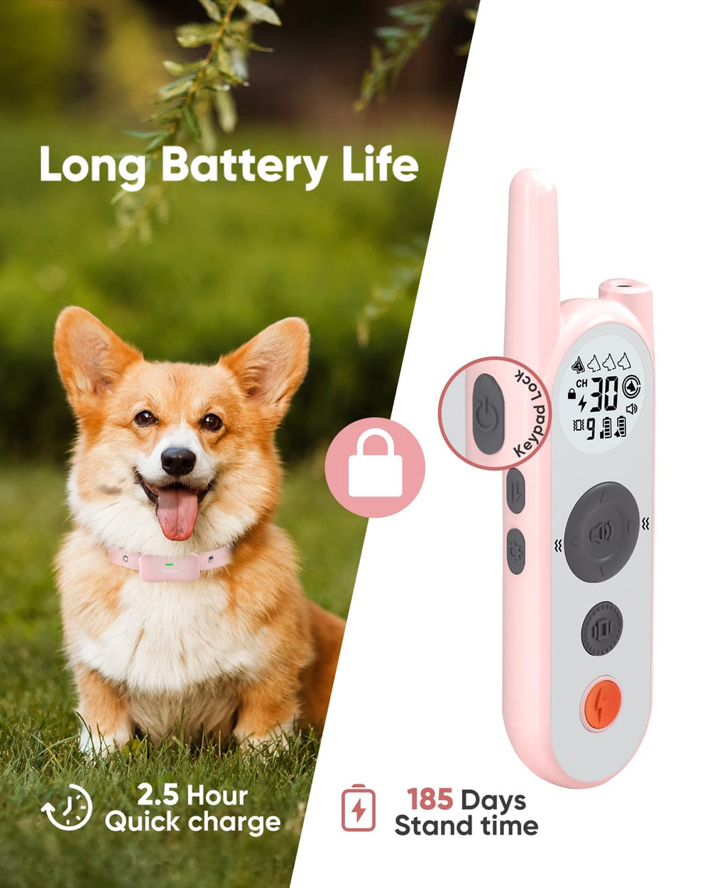 Htcuto rechargeable collar charging setup supports long standby and frequent use.