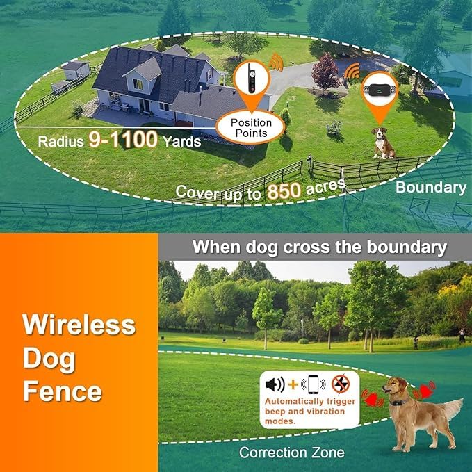 HTCUTO X3 remote training in action for longer-distance commands and behavior reinforcement.