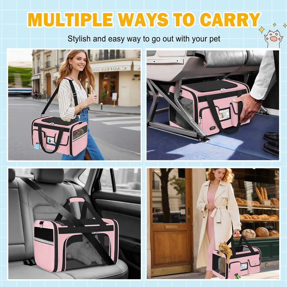 HUANLANG versatile carrier suitable for cabin, car, and vet visits