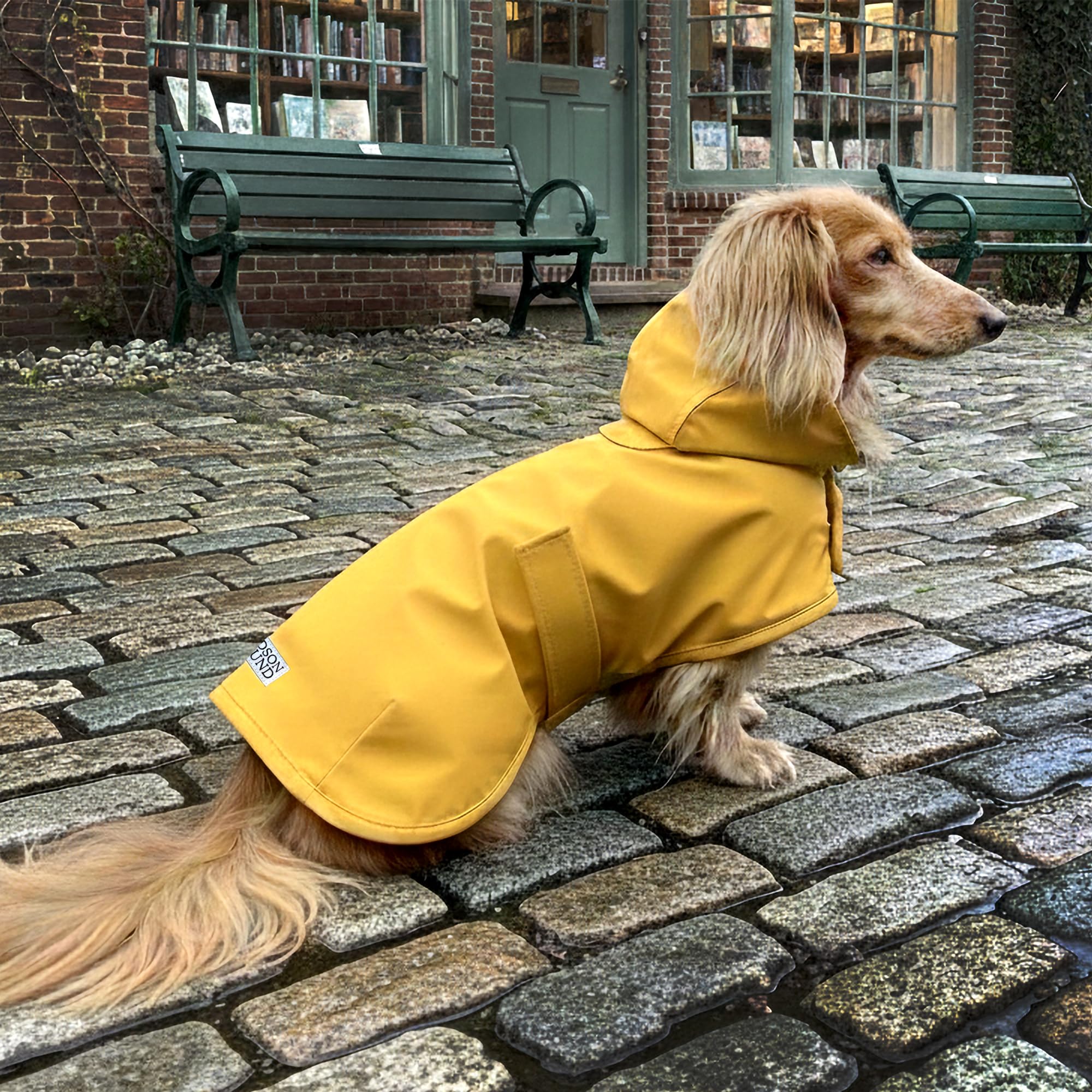 Adjustable fit with elastic bands ensures secure coverage during walks