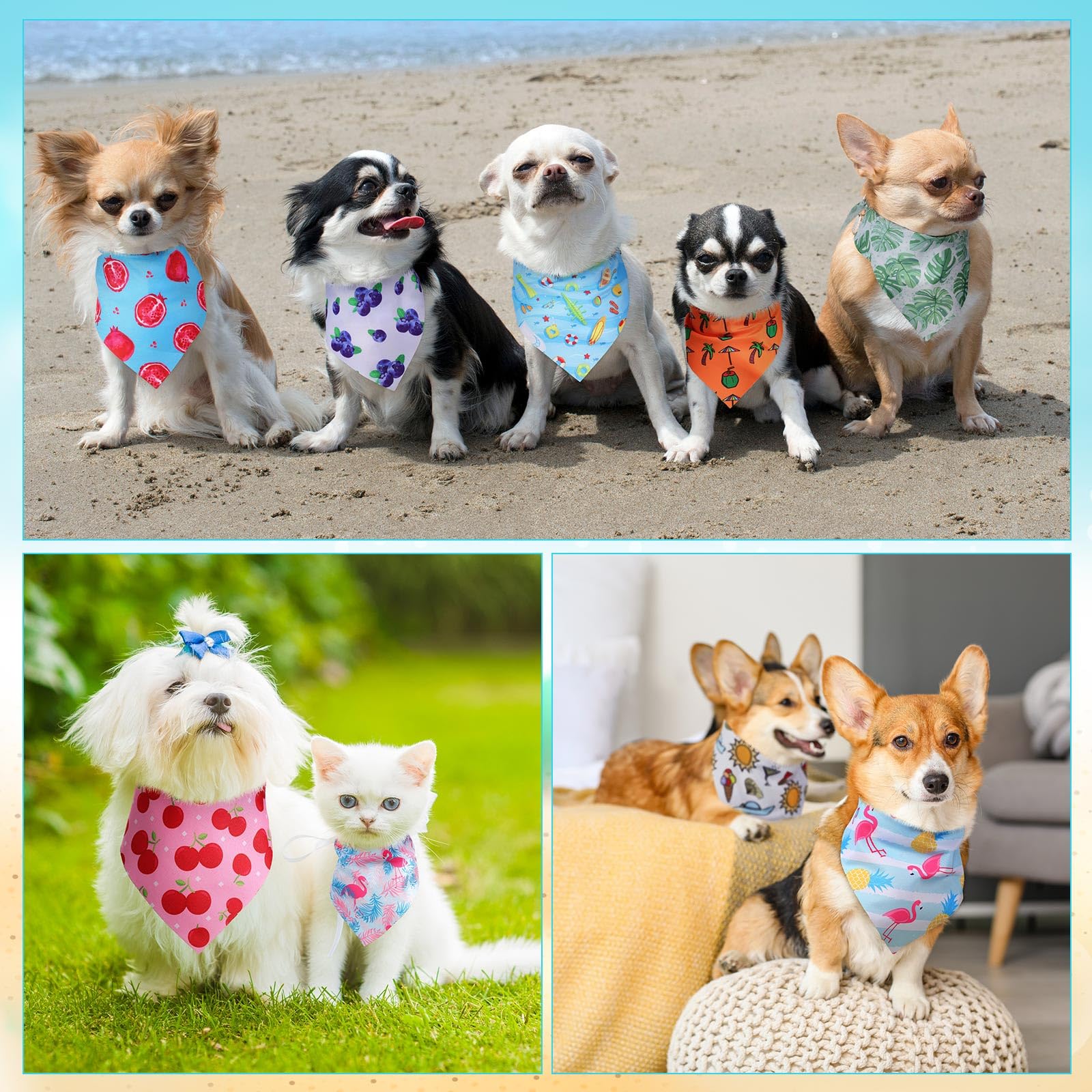 Huhumy dog bandanas Colorful designs showcase personality during trips.