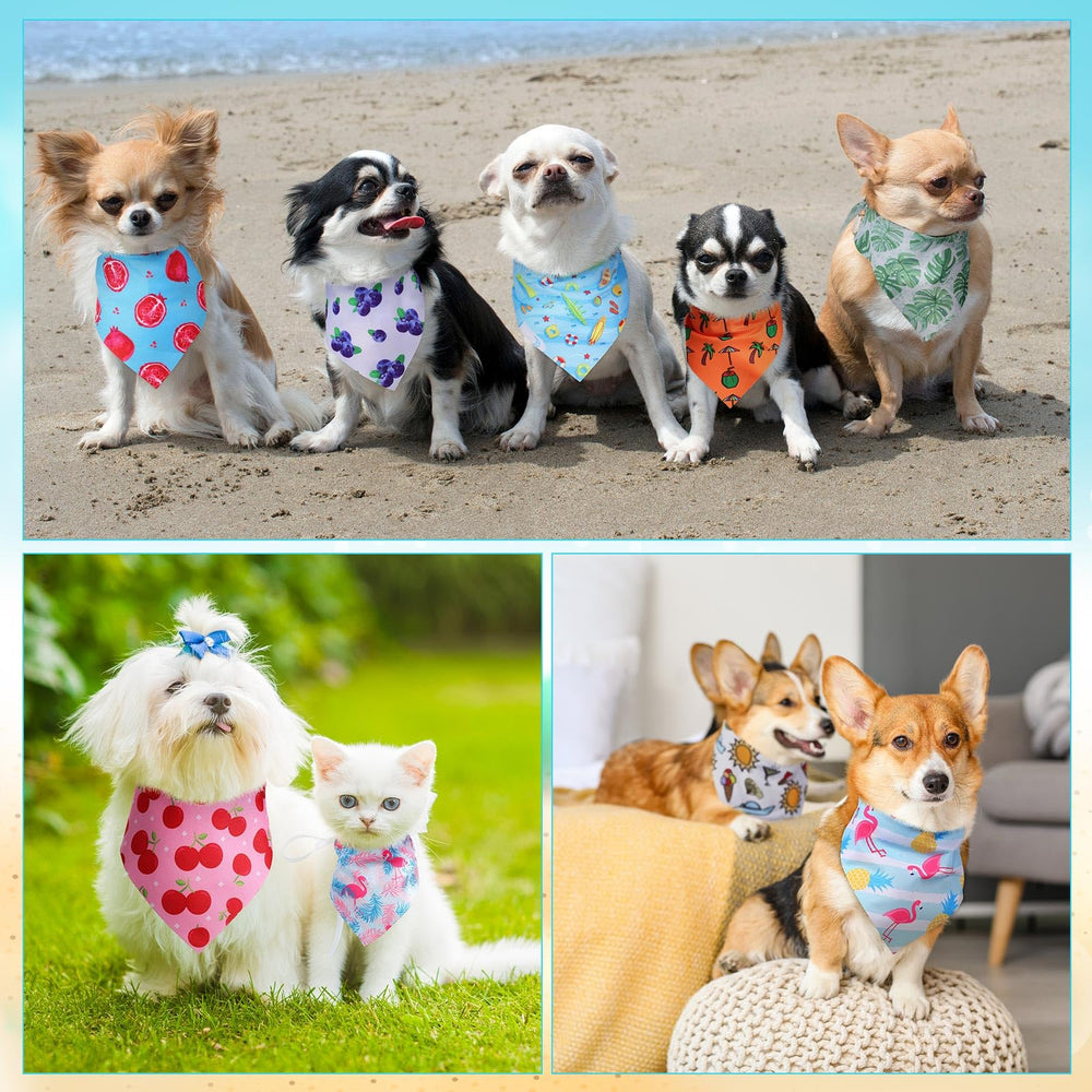 Huhumy dog bandanas Colorful designs showcase personality during trips.