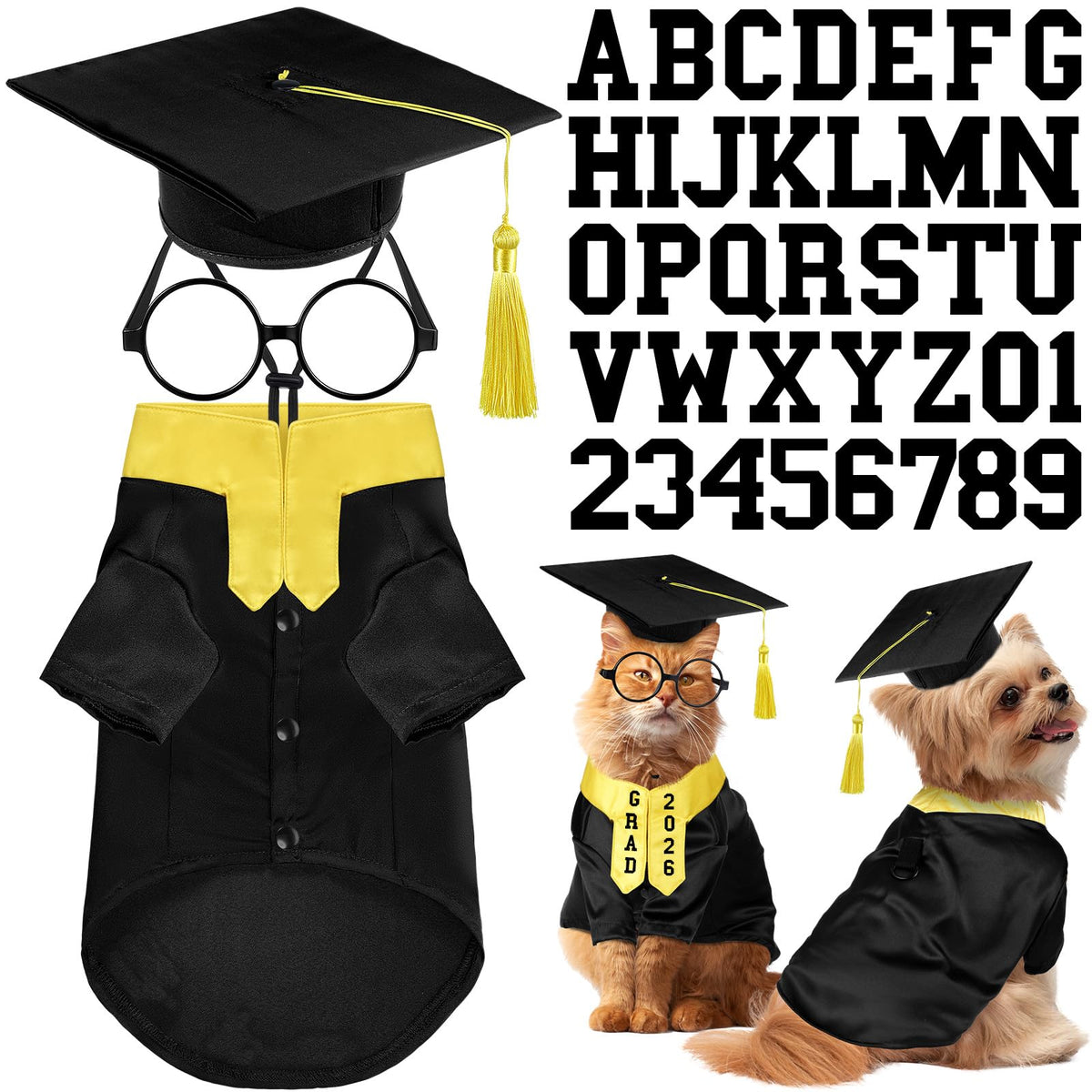 Huhumy dog graduation gown with yellow stole for festive photos.