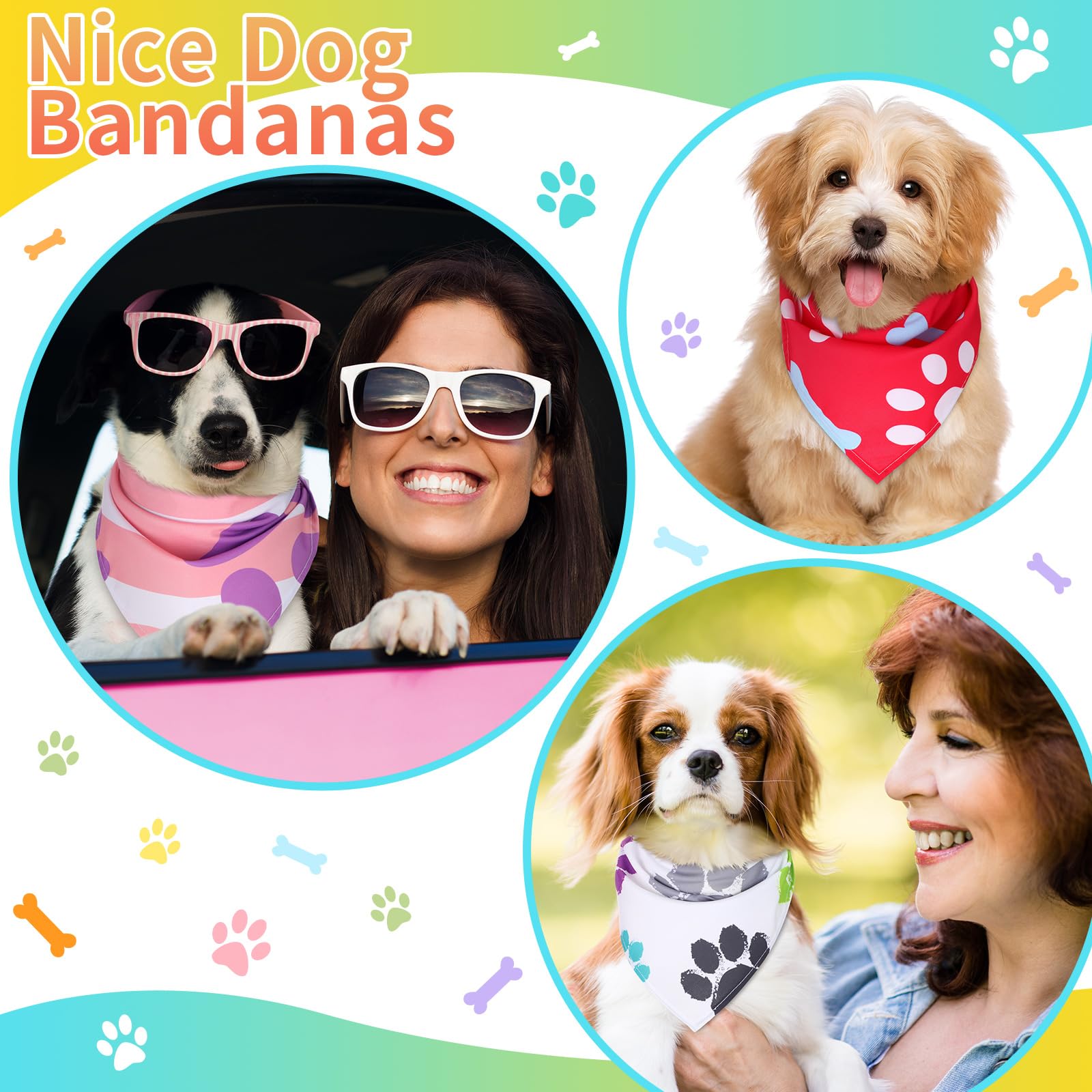 Huhumy bone and paw designs brighten summer outings and birthday celebrations.