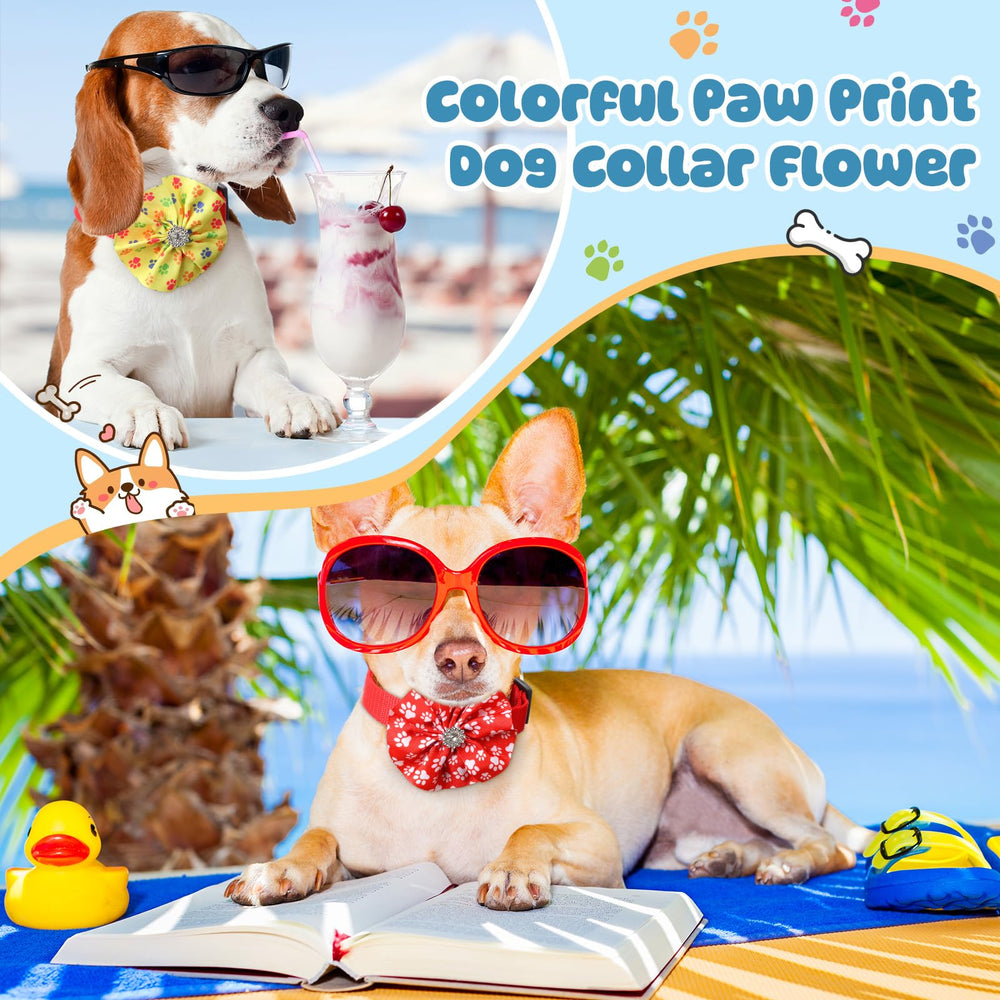 Huhumy paw and bone pattern bows add color for celebrations