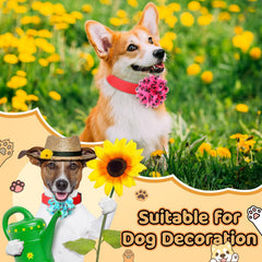 Huhumy paw print dog collar flowers decorations brighten collars with cute patterns.