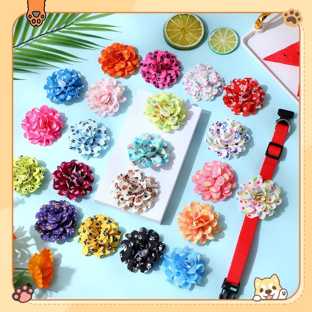 Huhumy paw print dog collar flowers attachments create charming looks for pets.