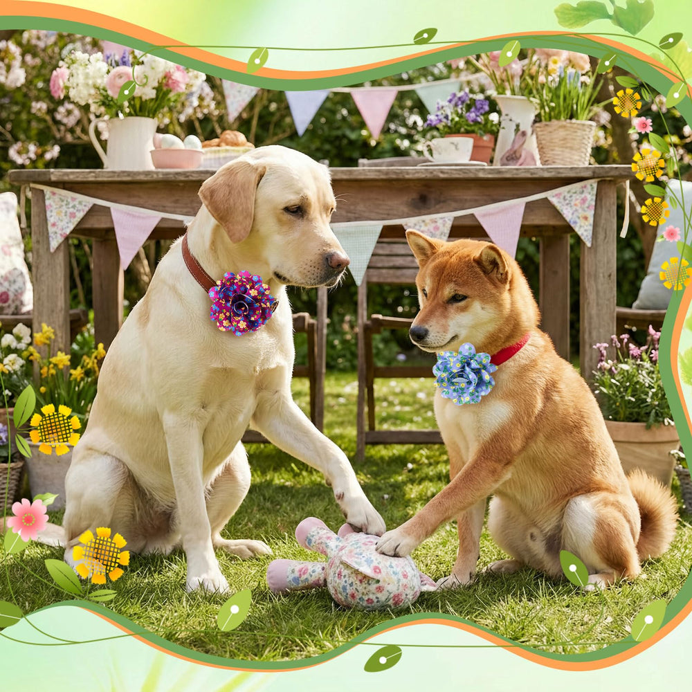 Huhumy spring dog collar flowers elastic backing fits most collars securely.