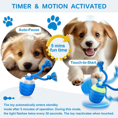 Huimpet automatic moving ball aids boredom relief for small dogs.