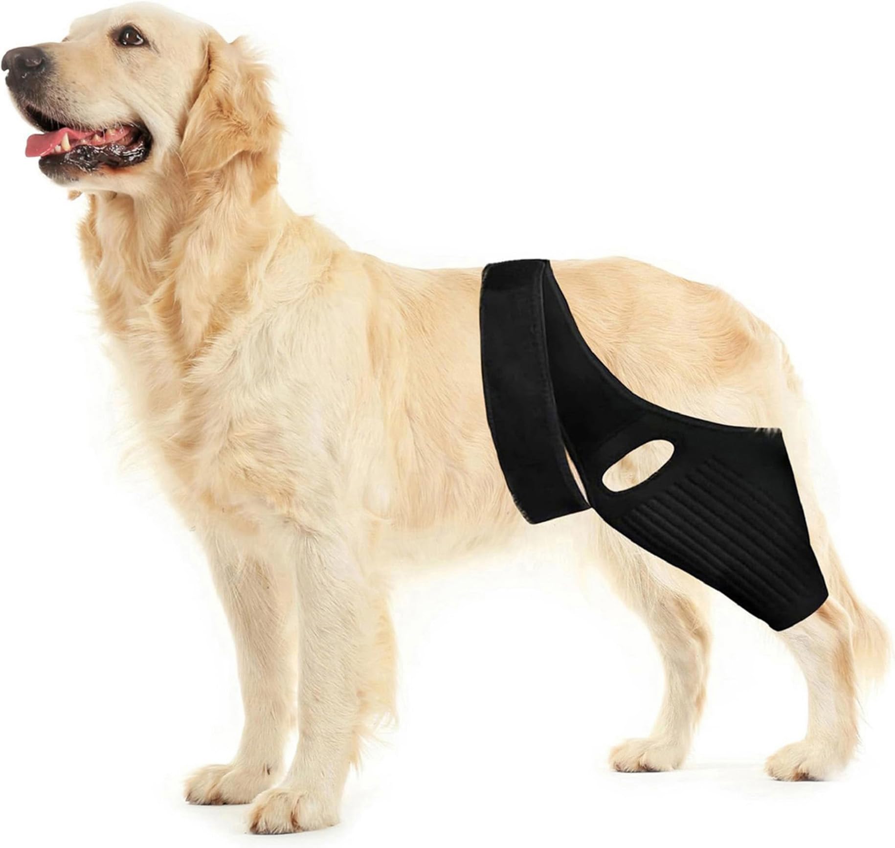 Huimpet Dog Knee Brace front view offers stable thigh support for active dogs.