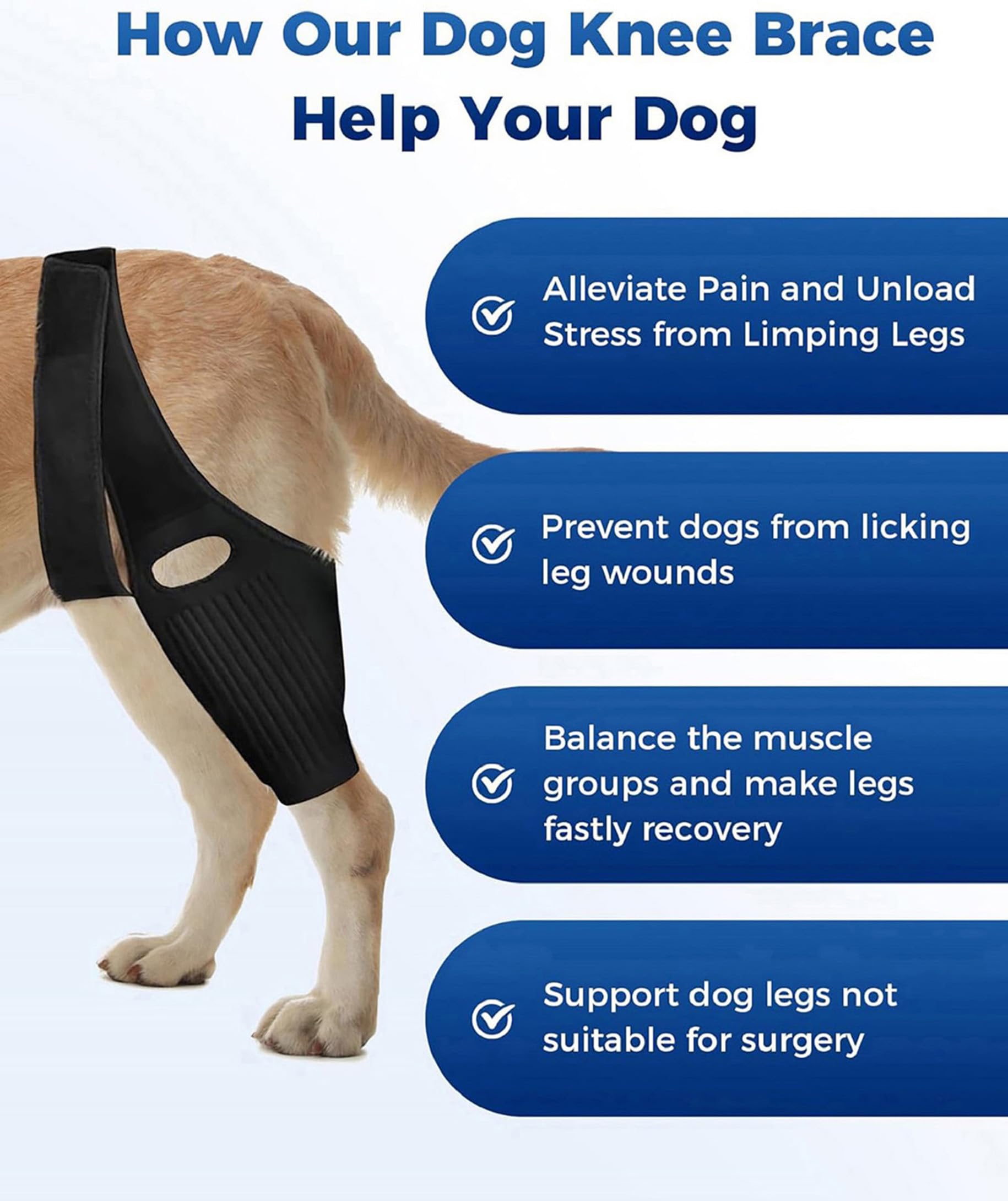 Front metal stabilizer on Huimpet brace supports the knee.