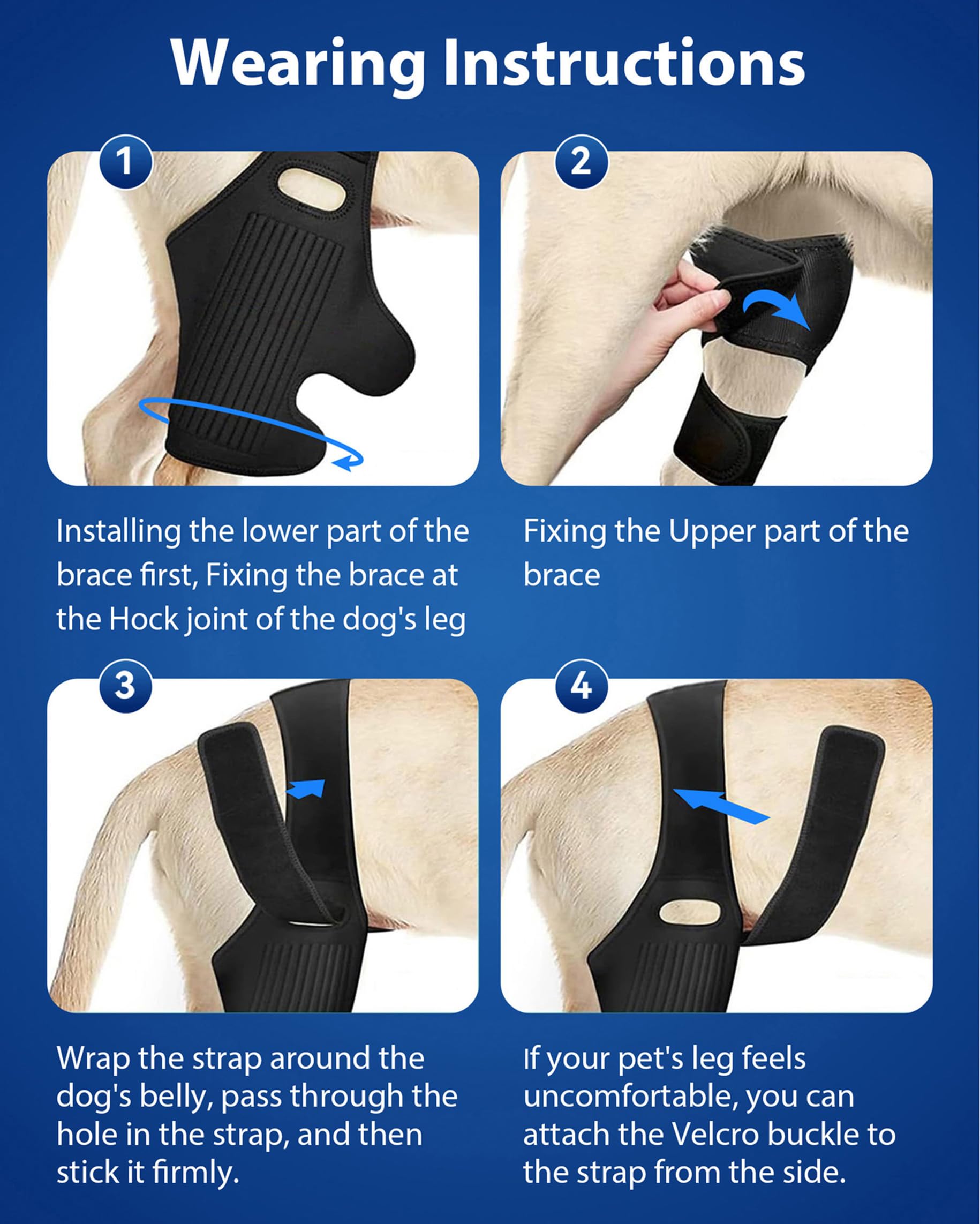 Size chart helps find the right fit for your dog's thigh.