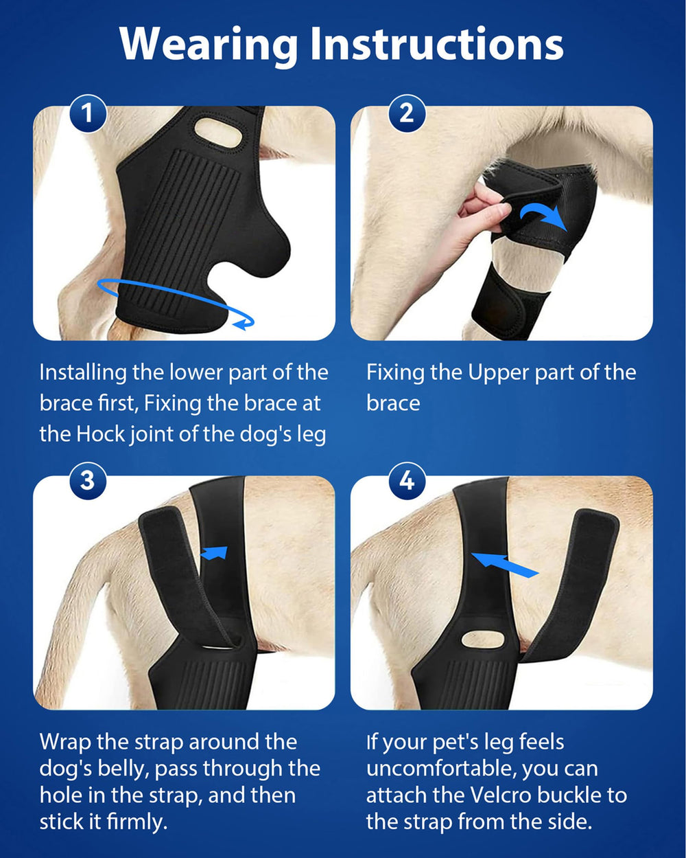 Size chart helps find the right fit for your dog's thigh.