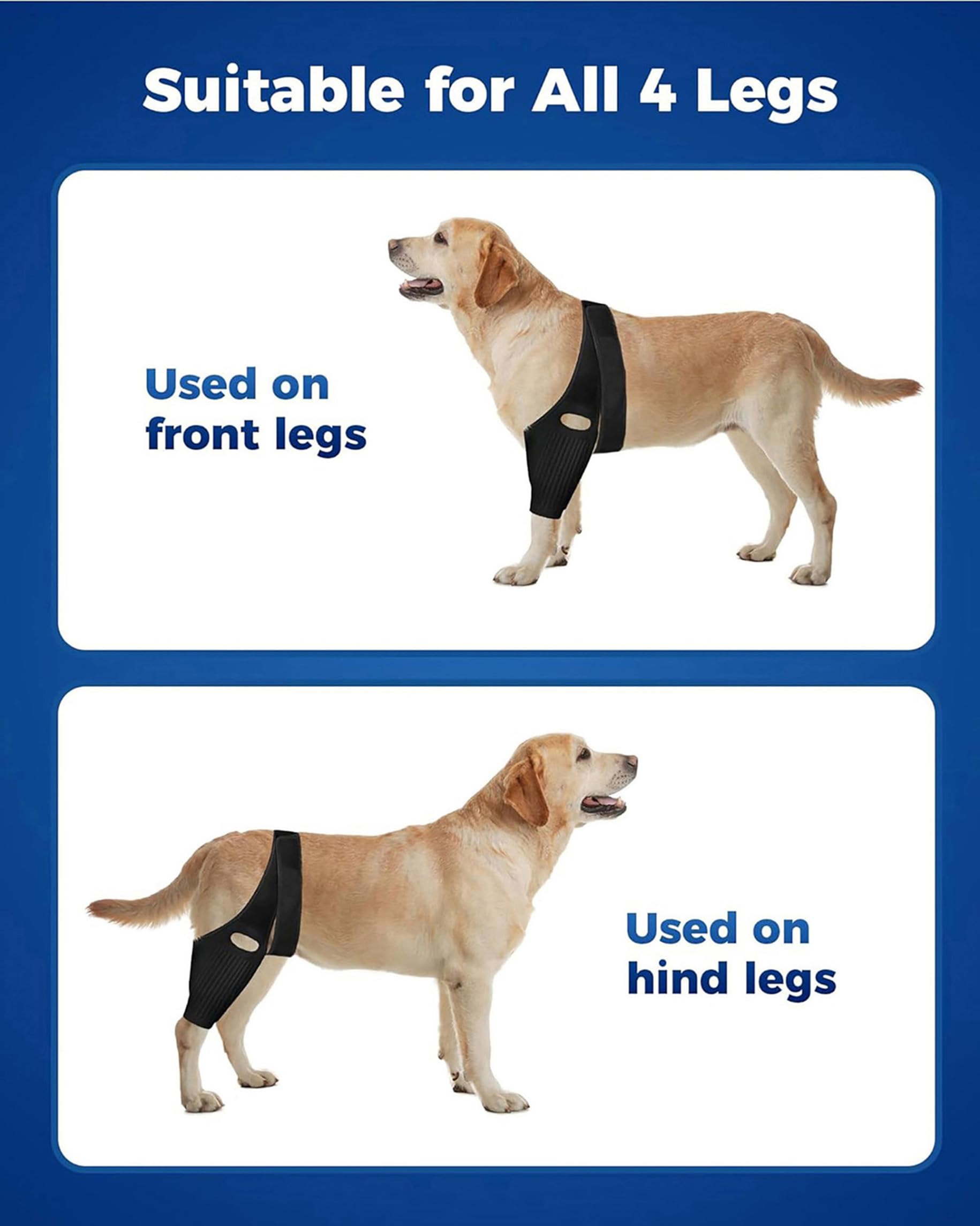 Worn on the thigh, Huimpet brace promotes comfortable daily wear.