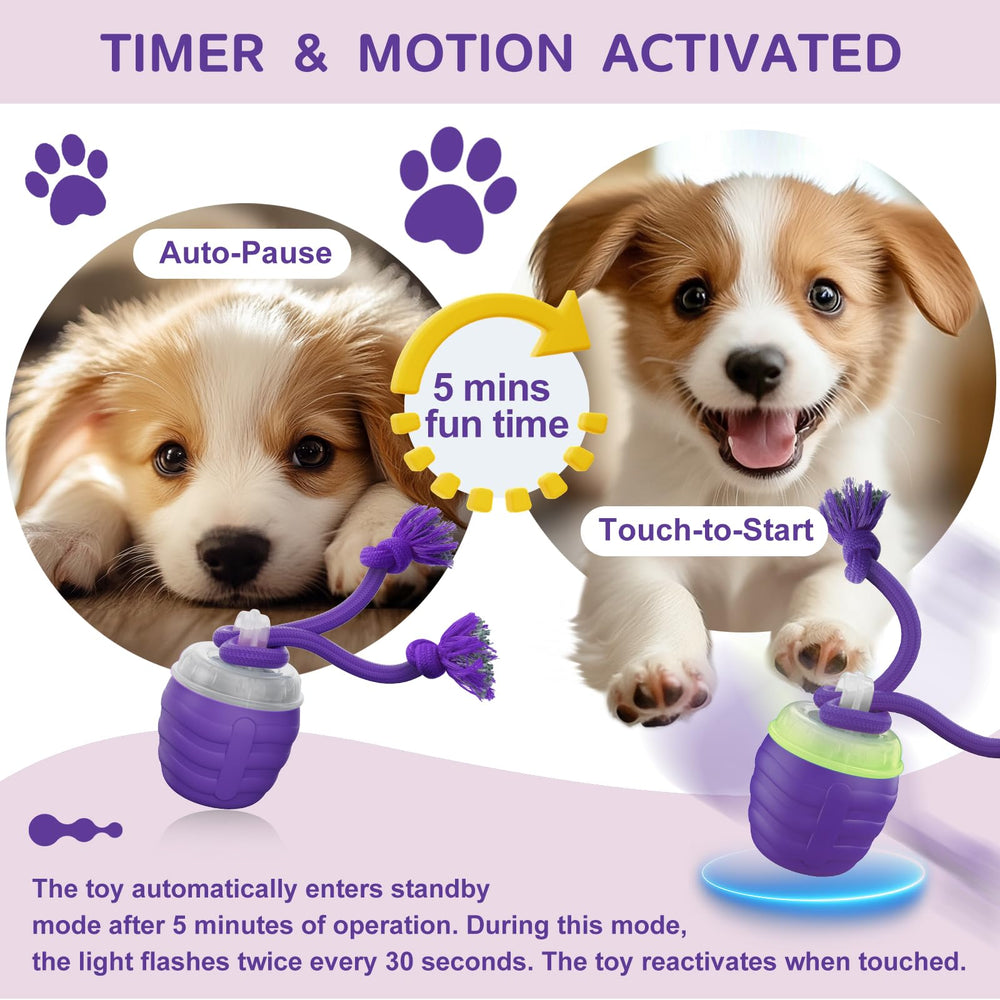 Squeaky sounds and Bluetooth options boost interactive play with Huimpet toy.
