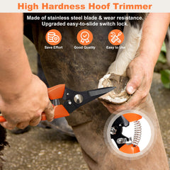 Huimpet hoof rasp tool for shaping and smoothing hooves