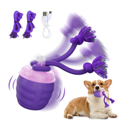 Huimpet interactive dog toy motion-activated ball in purple keeps medium and large dogs engaged.