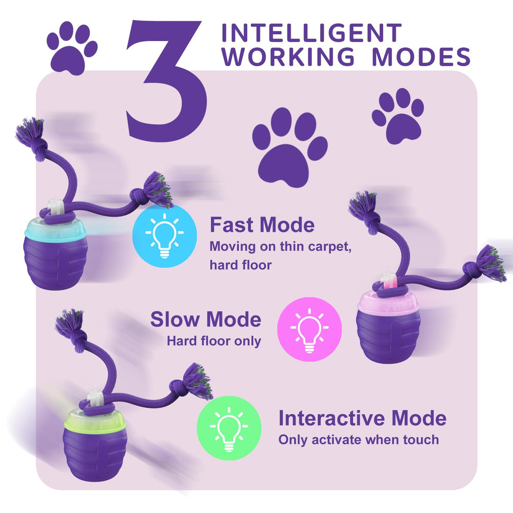 USB-C rechargeable Huimpet dog toy powering three modes for versatile indoor/outdoor fun.