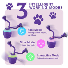USB-C rechargeable Huimpet dog toy powering three modes for versatile indoor/outdoor fun.