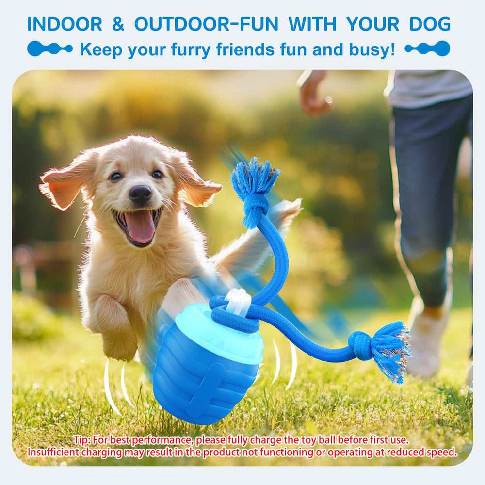 Huimpet motion activated ball keeps small dogs engaged during solo play.