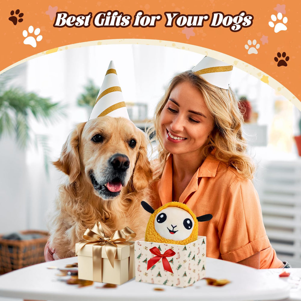 Huimpet orange color dog toy adds visibility during outdoor fun.