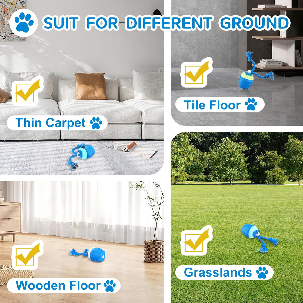 Huimpet small-dog friendly dimensions prevent unsafe indoor play.